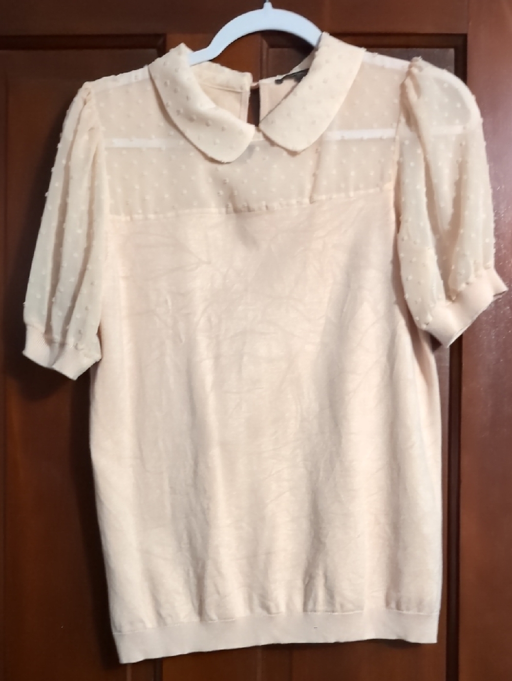 Adrianna Papell Chiffon Dot Sleeve Peter Pan Collar Top - Light Pink